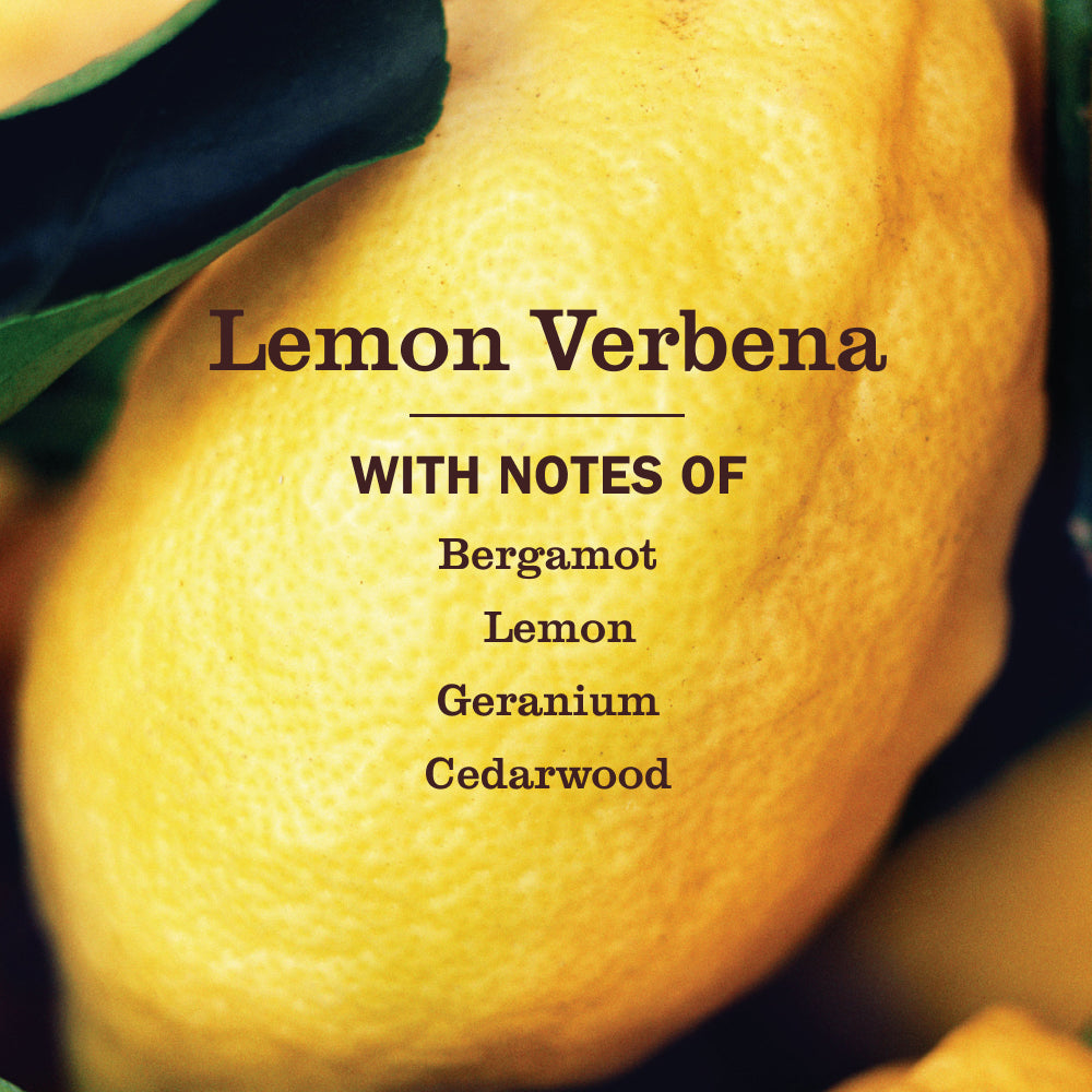 Lemon Verbena Automatic Dish Pacs