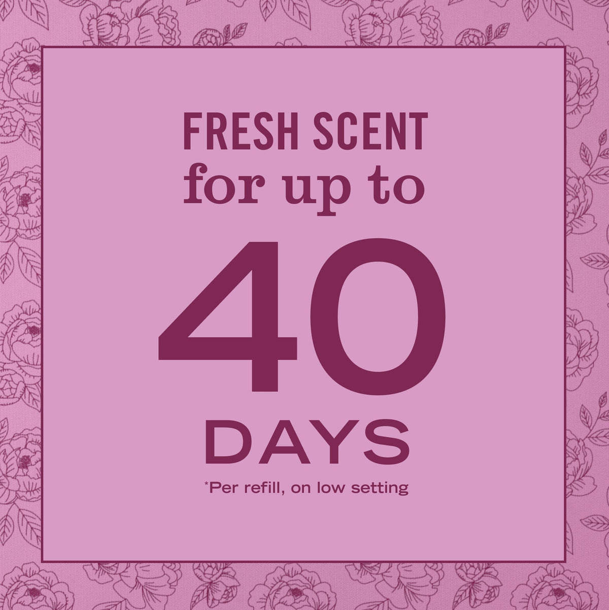 Peony Plug In Scented Oil Refill, 2-Pack