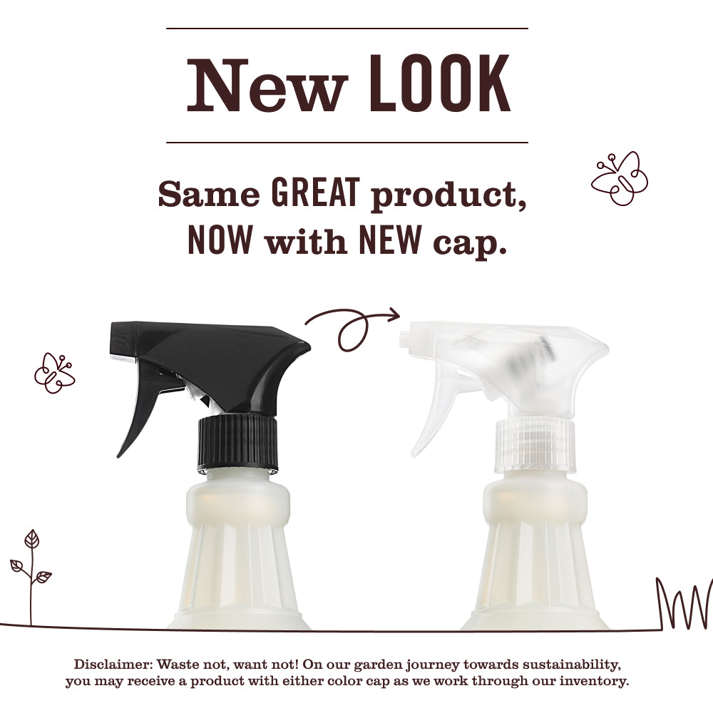 Compassion Flower Multi-Surface Everyday Cleaner