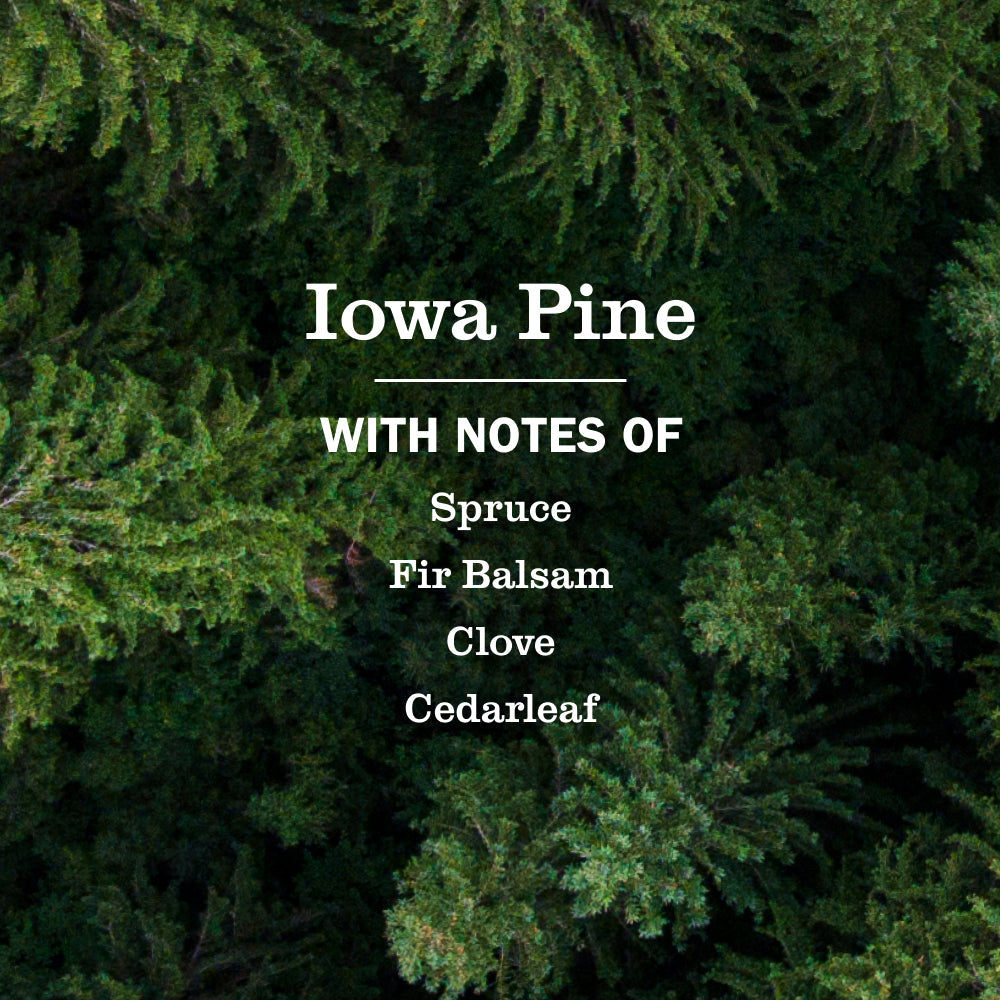 Iowa Pine Liquid Hand Soap 3-count Bundle