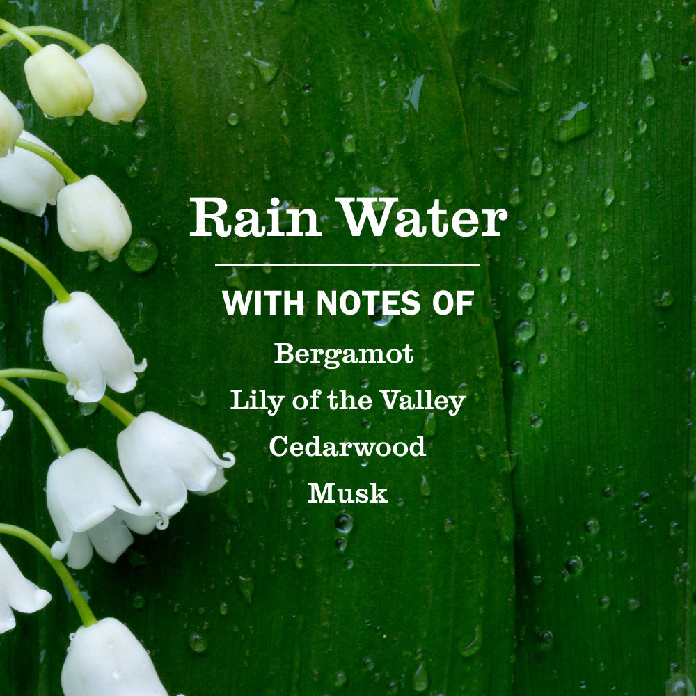 Rain Water Soy Candle Large