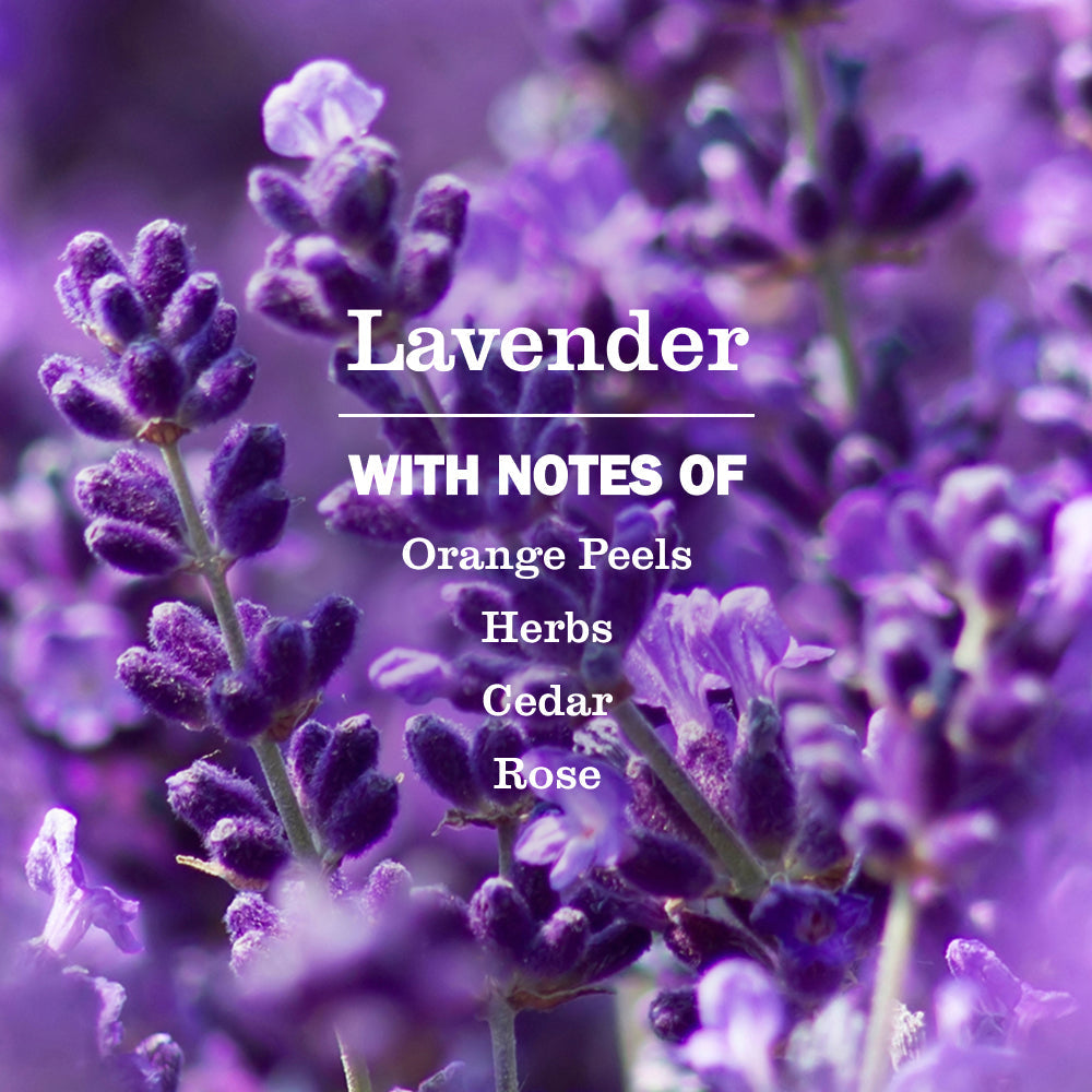 Lavender Toilet Bowl Cleaner